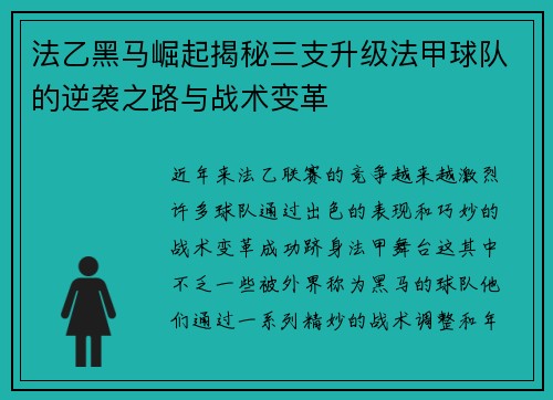 法乙黑马崛起揭秘三支升级法甲球队的逆袭之路与战术变革